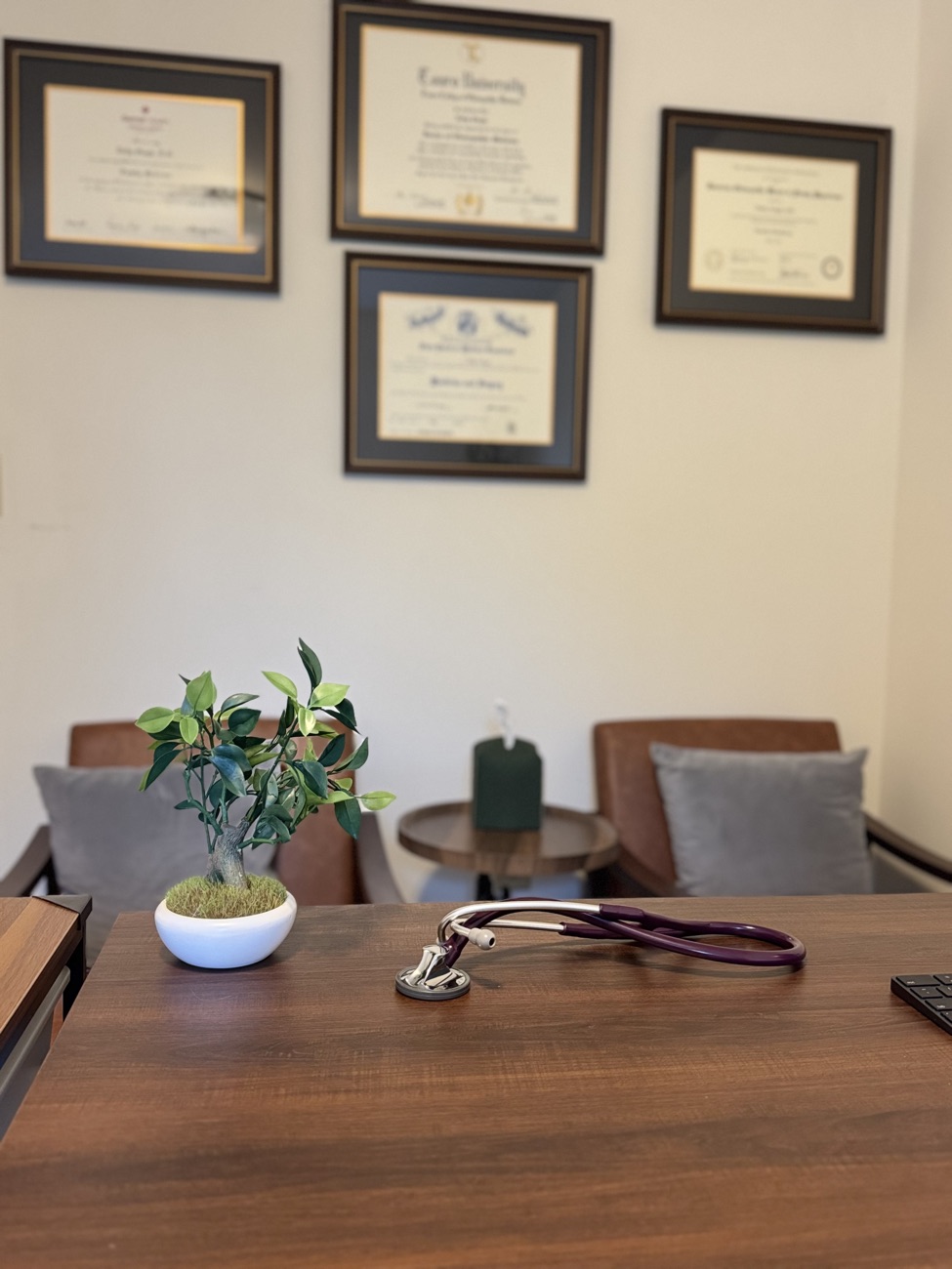 Dr. Nelly's office: a stethoscope on the desk, two armchairs, and framed diplomas on the wall